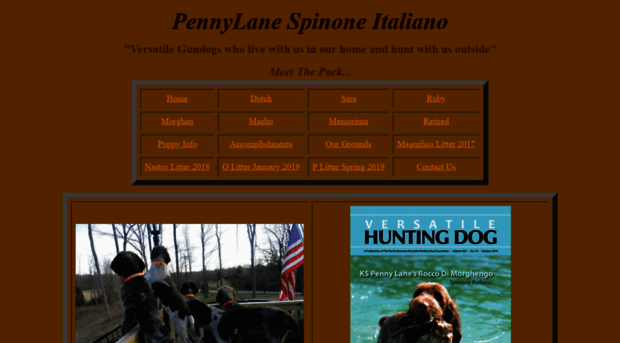 pennylanespinone.com