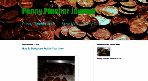 pennypincherjournal.blogspot.in