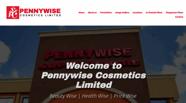 pennywisecosmetics.com