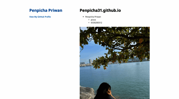 penpicha31.github.io