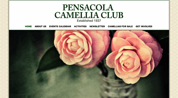 pensacolacamelliaclub.com