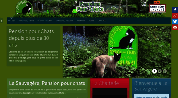 pension-chats.com