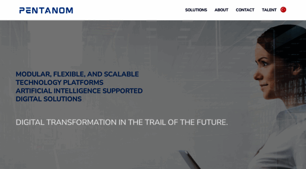 pentanom.com