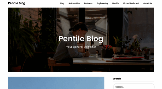 pentileblog.com