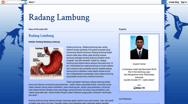 penyakitradanglambung.blogspot.com