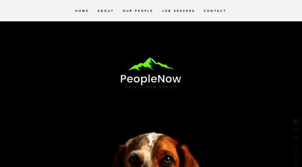 peoplenow.io