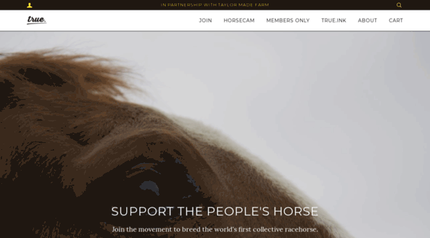 peopleshorse.com