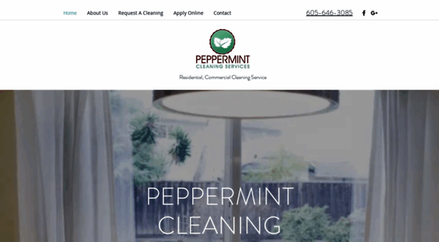 peppermintcleaningservices.com