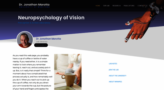 perceptionandaction.com