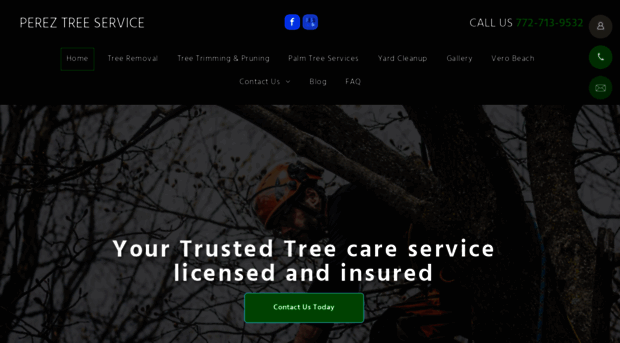 pereztreeservicefl.com