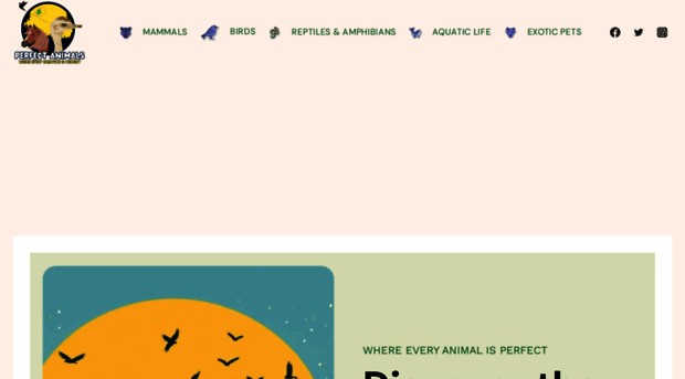 perfectanimals.com