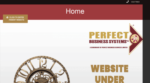 perfectbusinesssystems.com