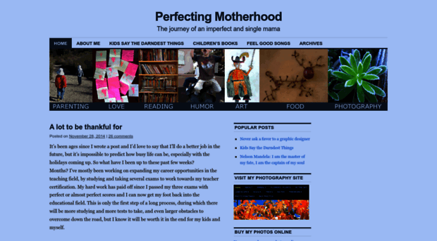 perfectingmotherhood.wordpress.com