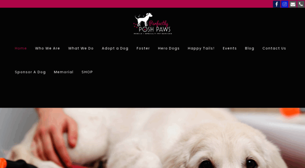 perfectlyposhpaws.org