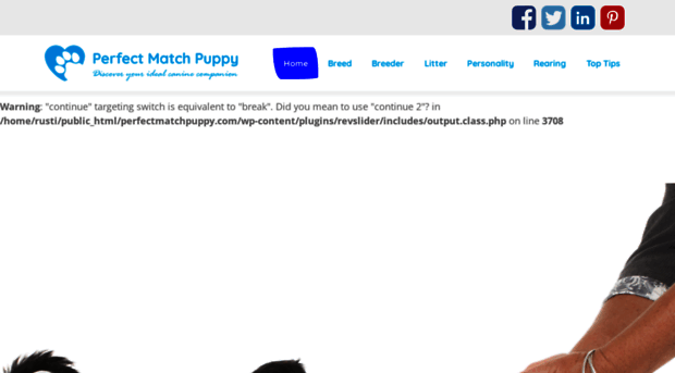 perfectmatchpuppy.com