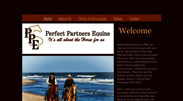 perfectpartnersequine.com