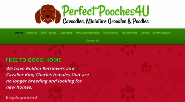 perfectpooches4u.com.au