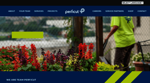 perficut.com