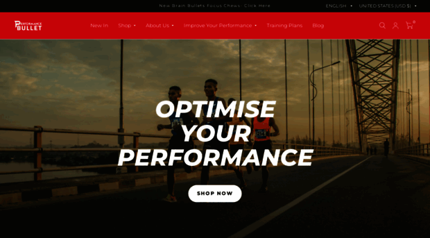 performancebullet.com