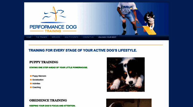 performancedogtraining.com