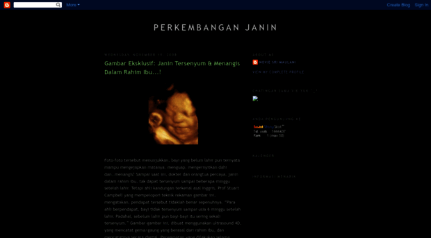 perkembanganjanin.blogspot.com