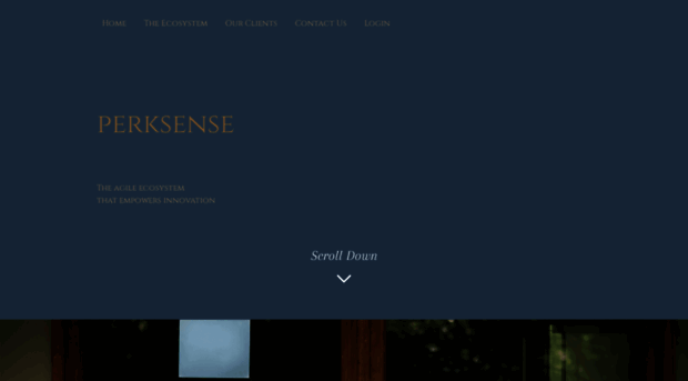 perksense.com