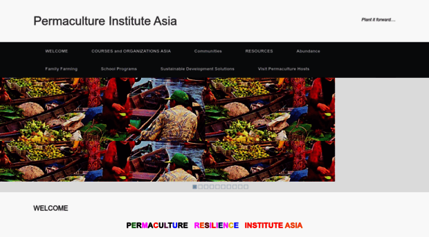 permacultureinstituteasia.com