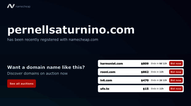 pernellsaturnino.com