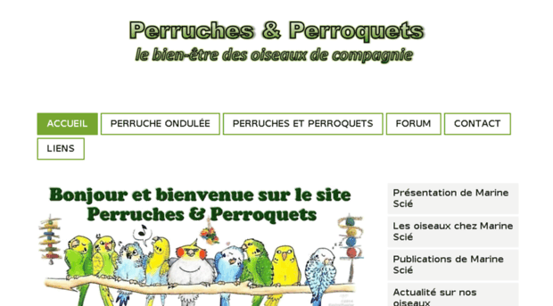 perruche-perroquet.com