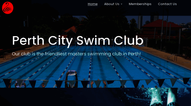 perthcityswimclub.org.au