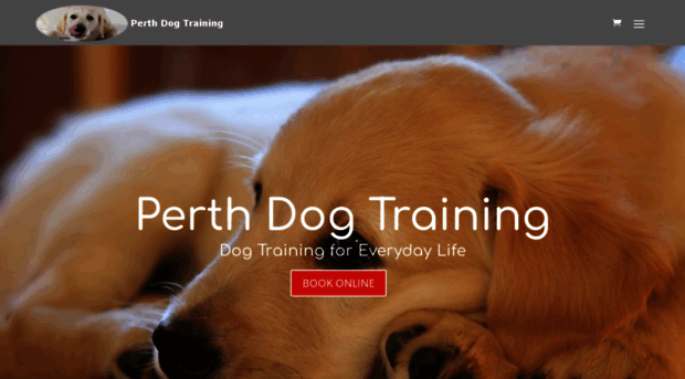 perthdogtraining.co.uk