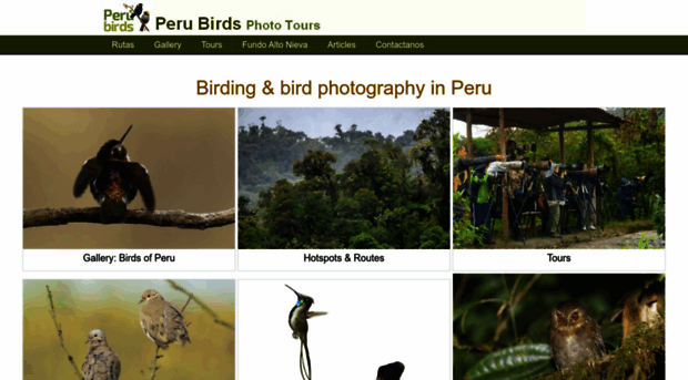 perubirds.org