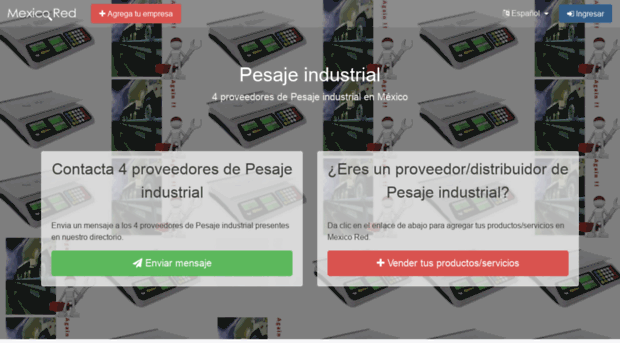 pesaje-industrial.mexicored.com.mx