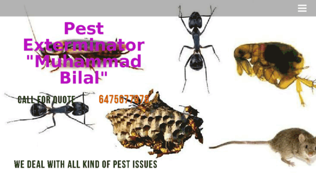 pestcontrolandexterminatorstoronto.ca