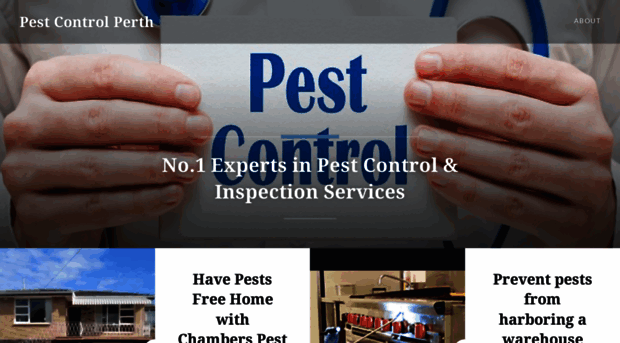 pestcontrolinperth.wordpress.com