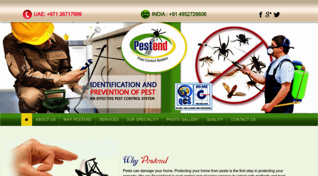 pestendintl.com