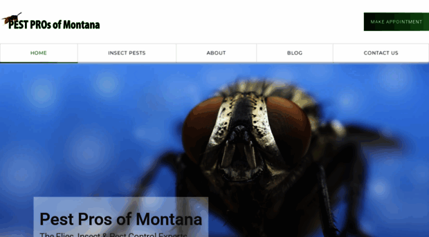 pestprosmt.com
