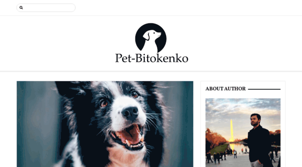 pet-bitokenko.com