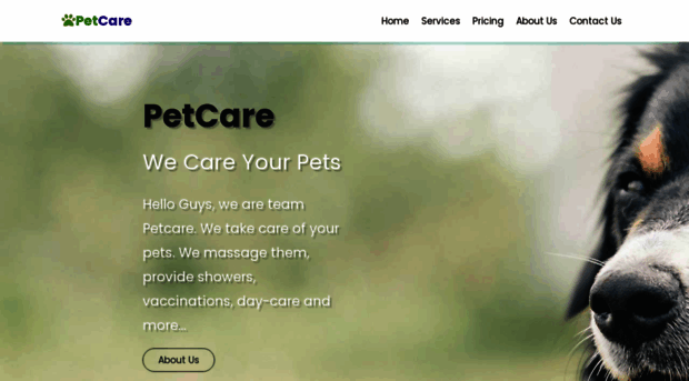 pet-care-one.vercel.app