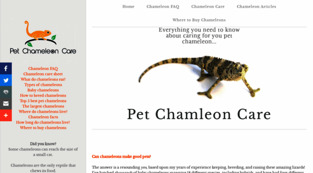 pet-chameleon-care.com