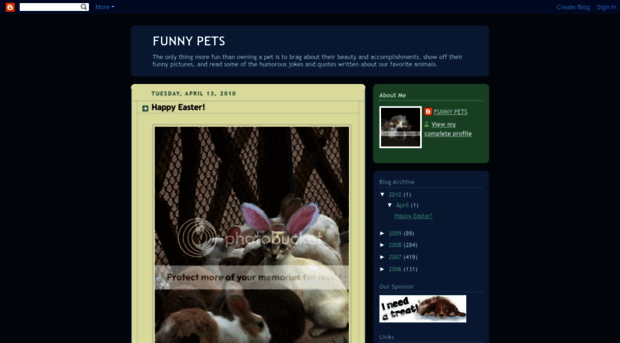 pet-fun.blogspot.com