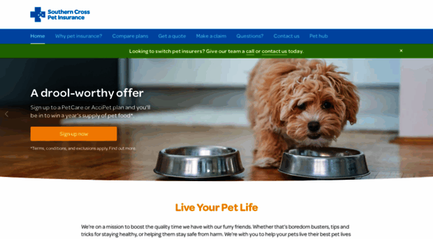 pet-insurance.co.nz