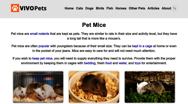 pet-mice.com