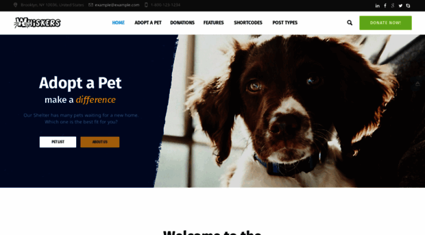 pet-store.whiskers.cmsmasters.net