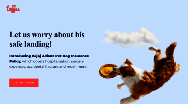 pet.toffeeinsurance.com