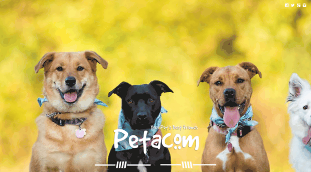 petacom.in