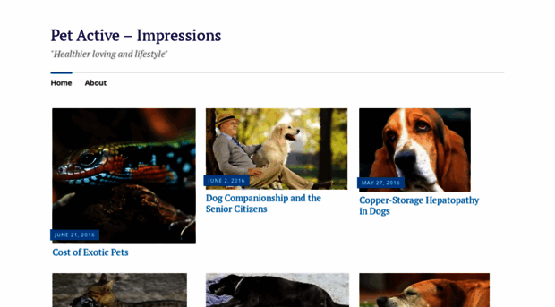 petactive.wordpress.com