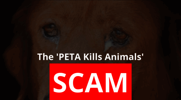 petakillsanimalsscam.com