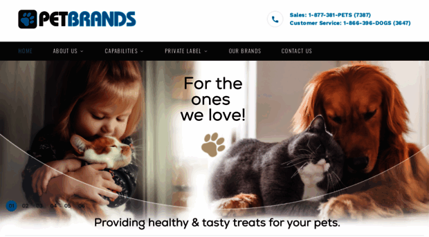 petbrand.com