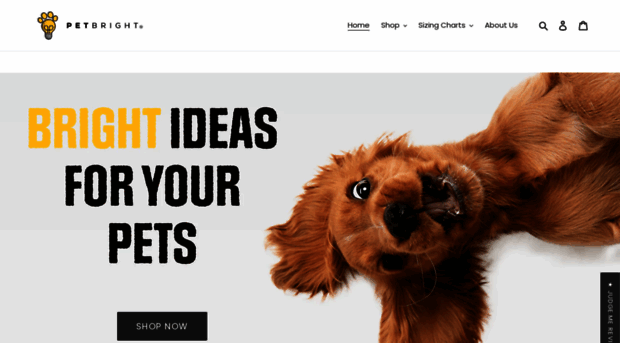 petbright.co.uk